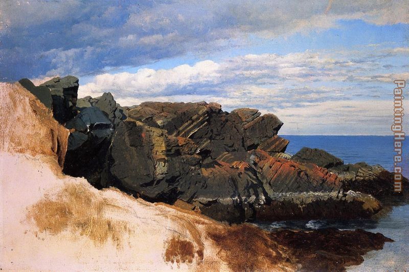 Rock Study at Nahant, Massachusetts painting - William Bradford Rock Study at Nahant, Massachusetts art painting